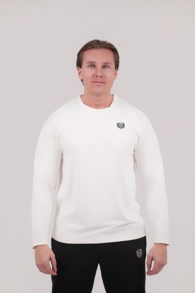 arctic-elegance-8552851.jpg